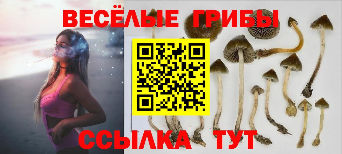 Псилоцибиновые грибы ЛСД  Псилоцибиновые грибы мухоморы  хочу наркоту  Владимир  Вход с VPN 